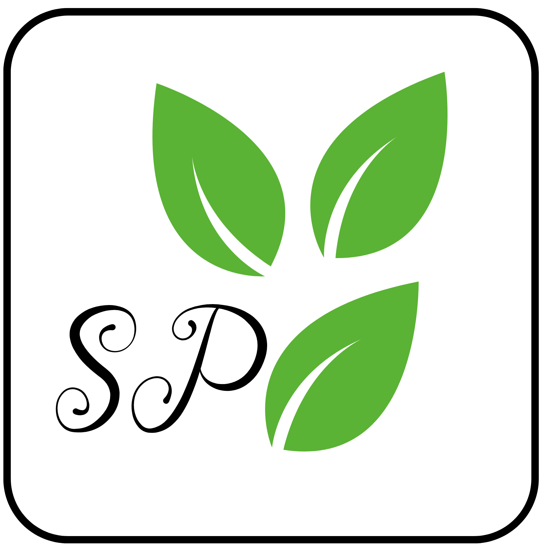 Centro de capacitación Integral S.P.